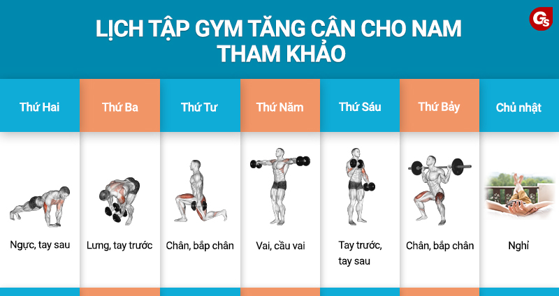 Cách chia lịch tập gym cho nam