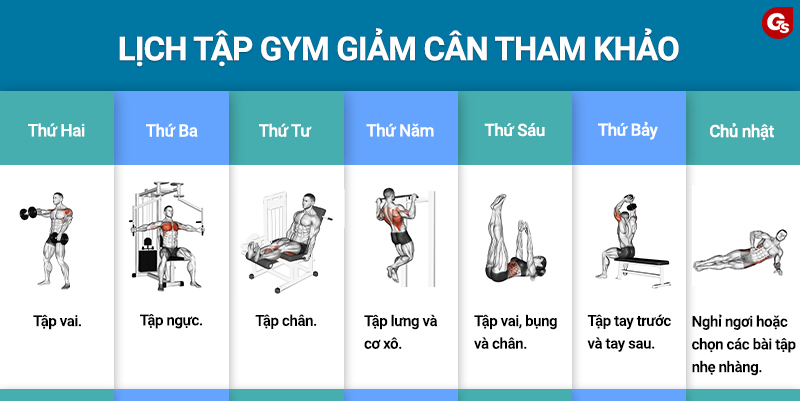 LỊCH TẬP GIẢM MỠ TẠI NHÀ PHÙ HỢP VỚI PHỤ NỮ BẬN RỘN
